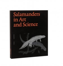 Book Max Sparreboom, Bas Teunis – Salamanders in Art and Science
