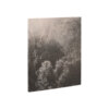 Book Little Suns on Earth